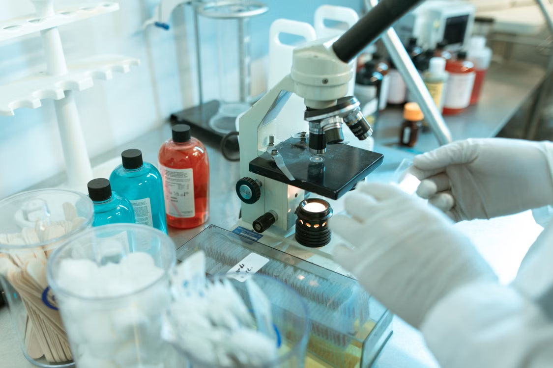 Aging research and biology